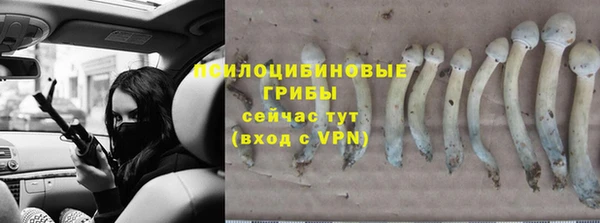 скорость Арсеньев