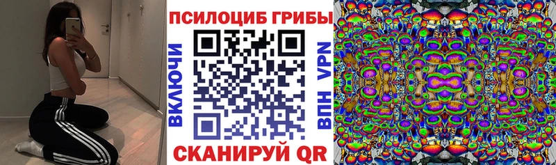 цена   Порхов  Галлюциногенные грибы прущие грибы 